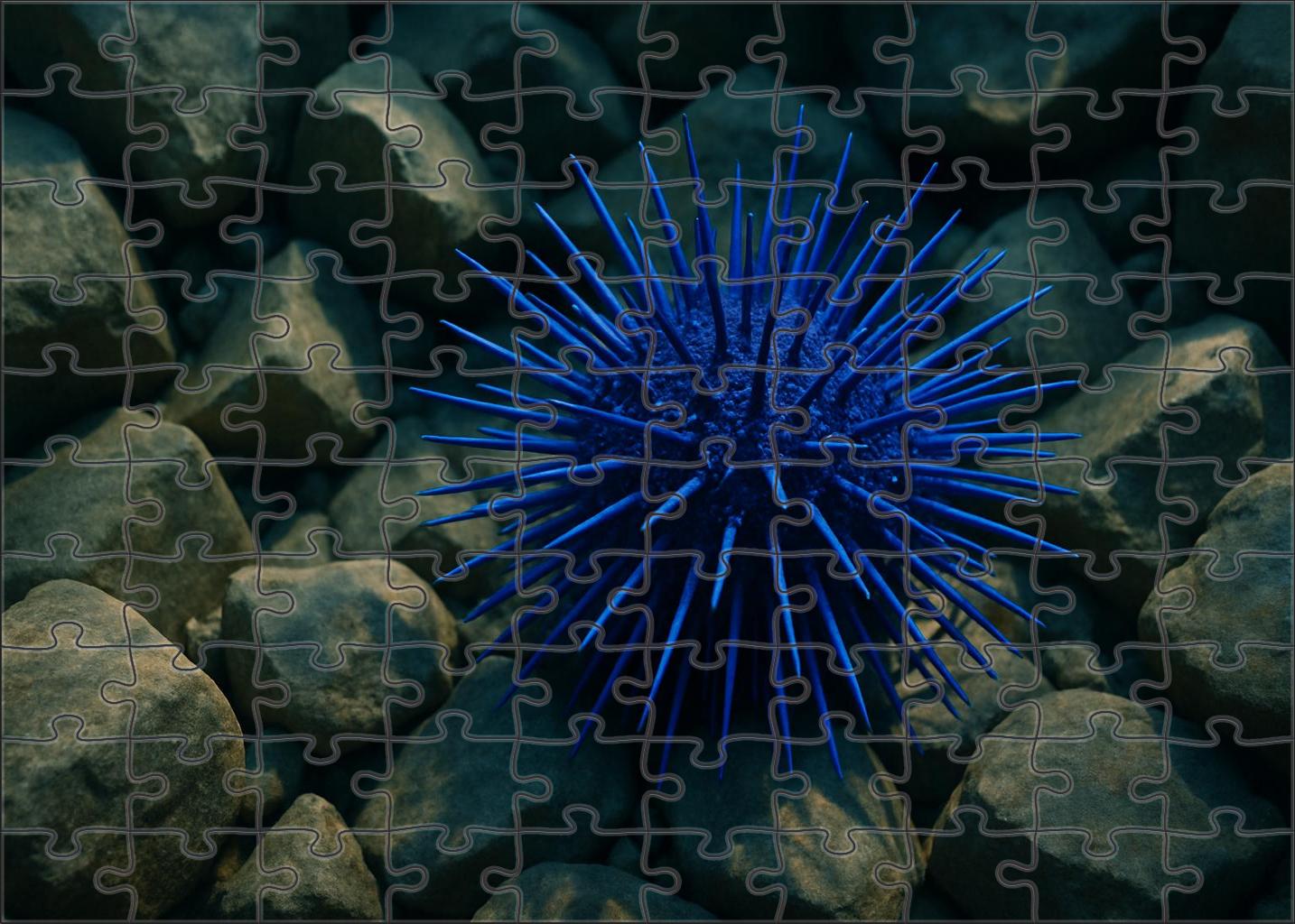 Azure Spine Urchin 20 Piece Puzzle