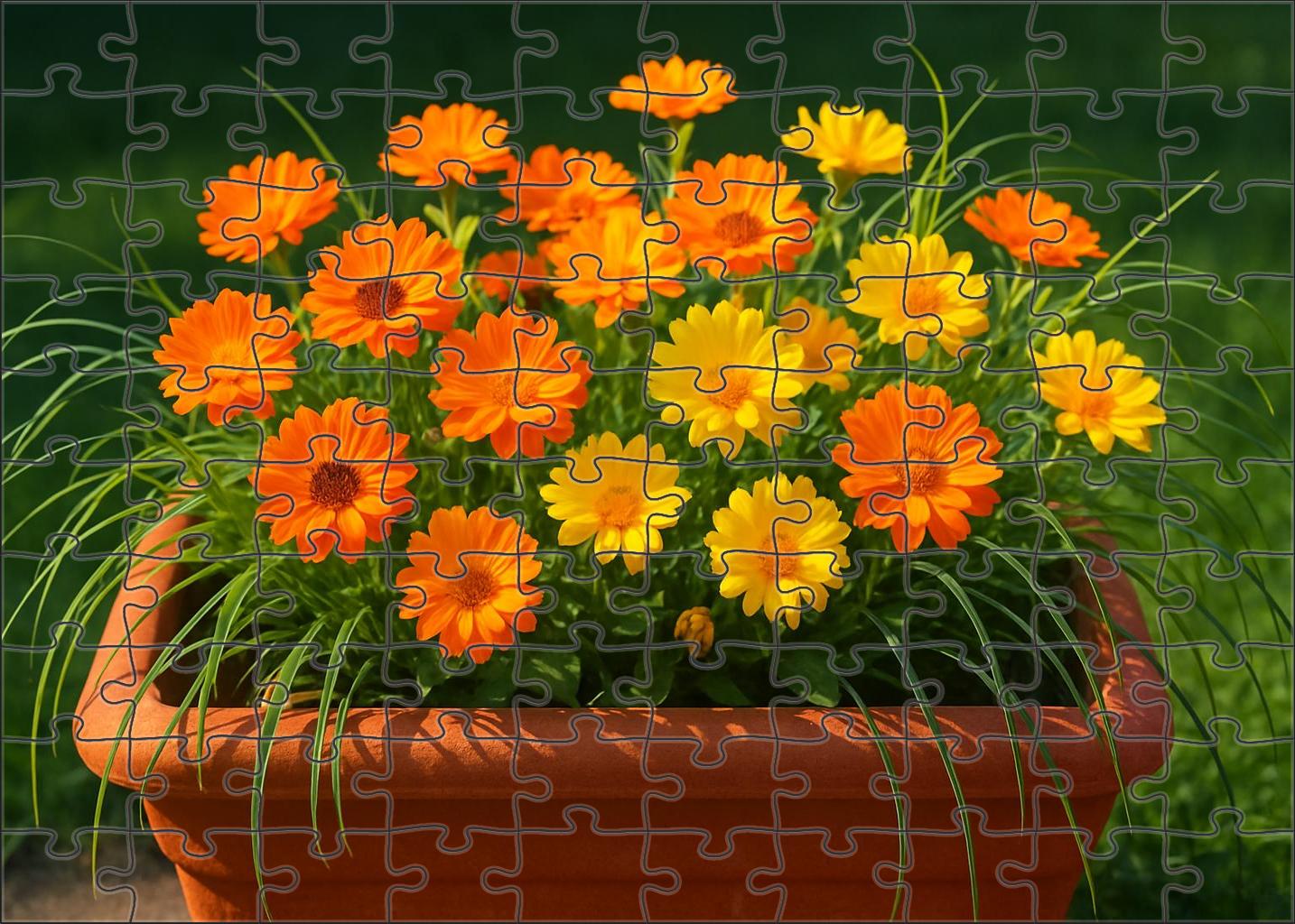Sunburst Terrace Planter 50 Piece Puzzle