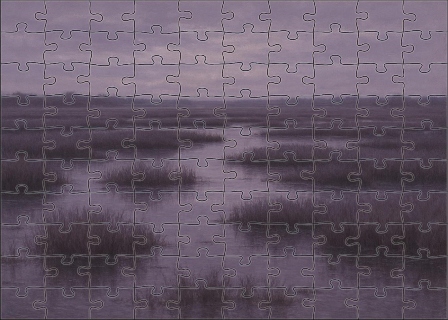 Dusky Marshland Expanse Puzzle Fun