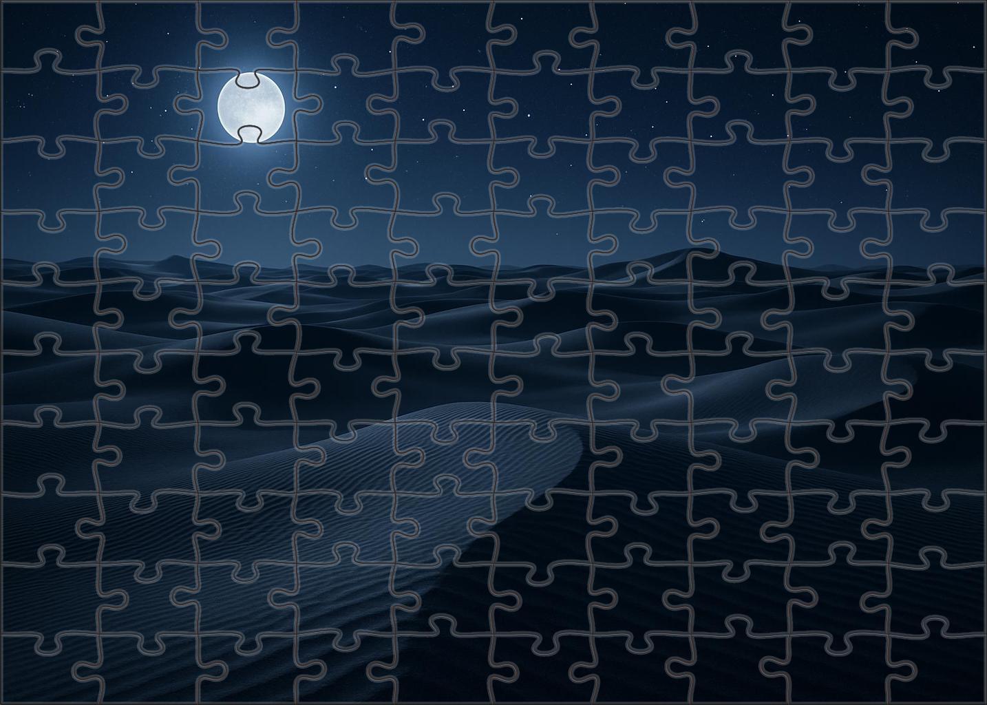 Silvery Moonlit Dune Field 200 Piece Puzzle