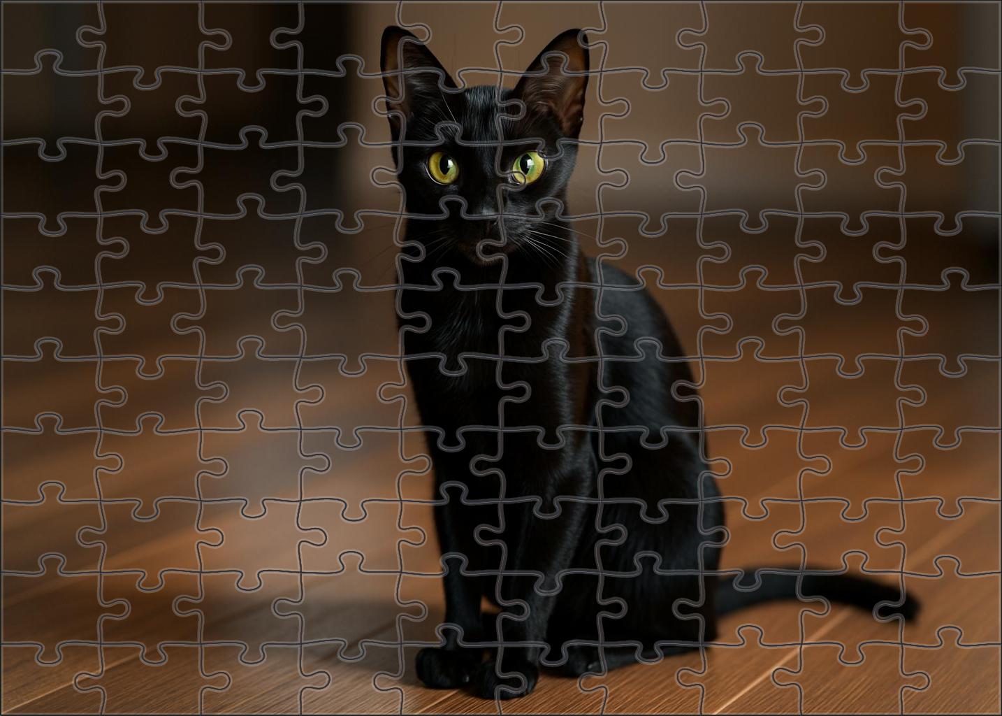 Onyx Whisper Sleek Black Oriental Shorthair With Piercing Eyes Puzzle Challenge