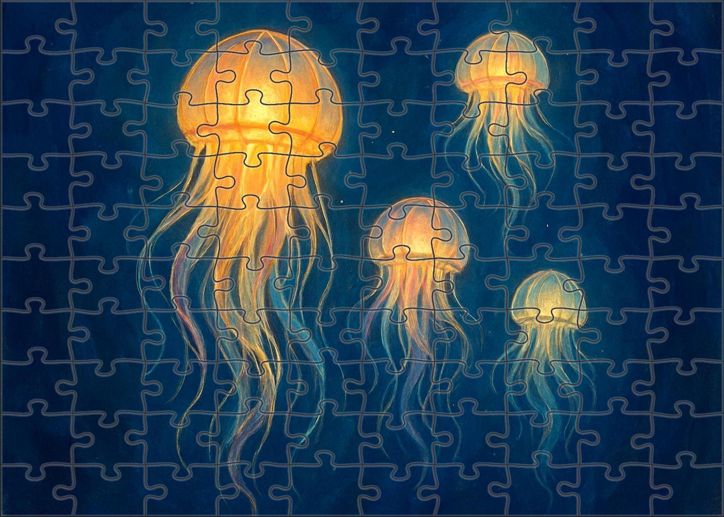 The Jellyfish Lantern Festival Puzzle Collection
