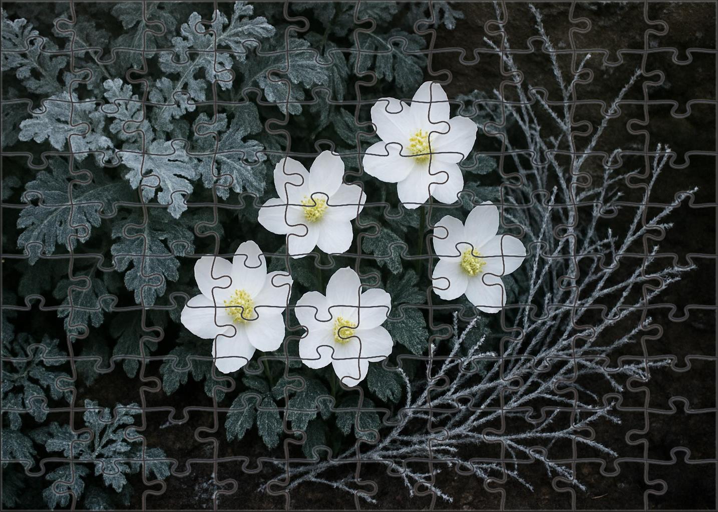 Winter Frost Garden Nook 50 Piece Puzzle