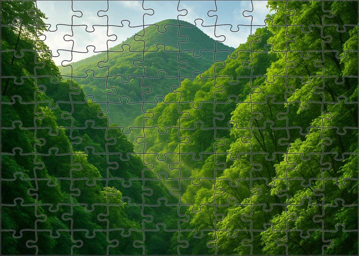 Emerald Canopy Slopes 500 Piece Puzzle