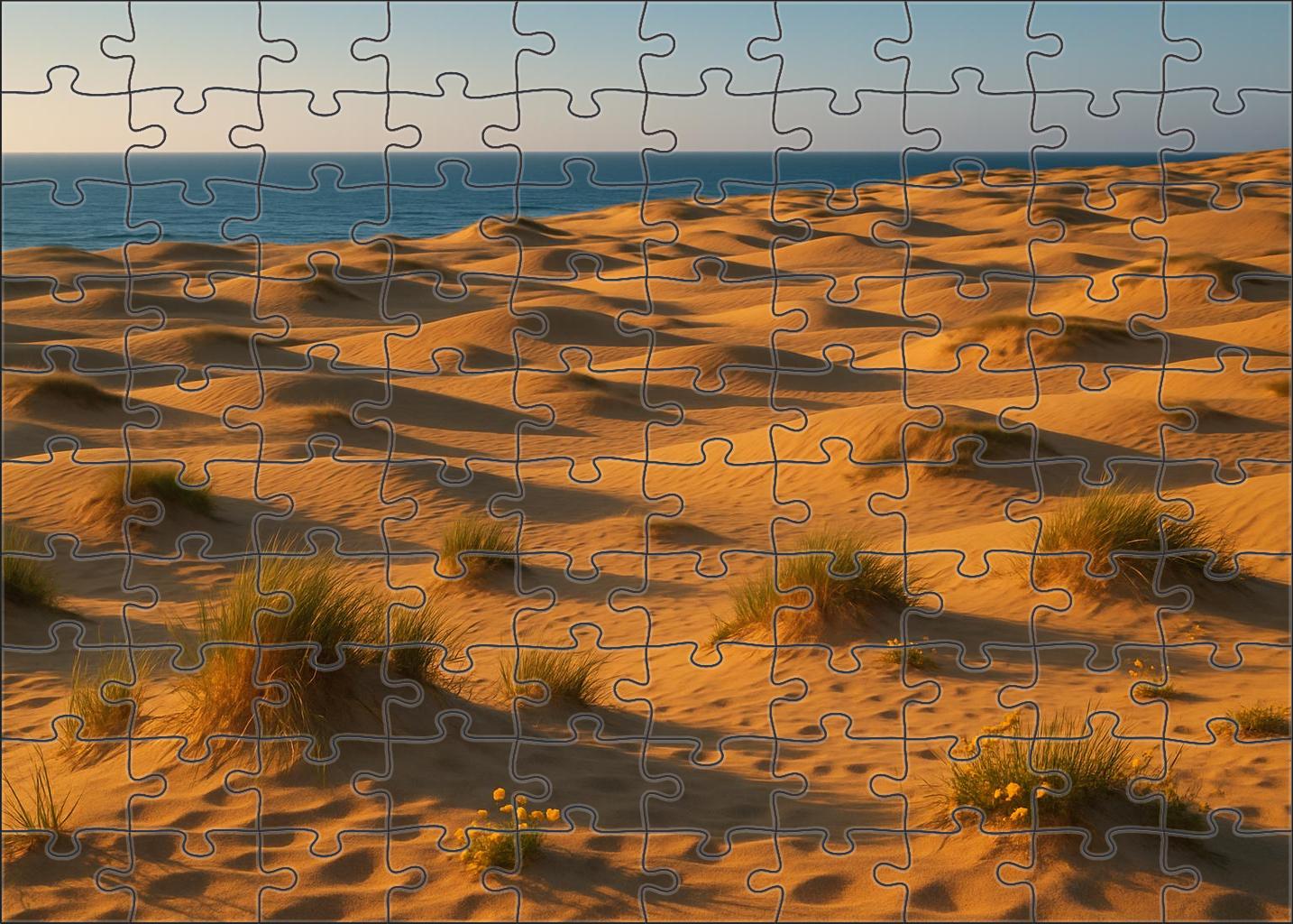 Golden Dune Shore 100 Piece Puzzle