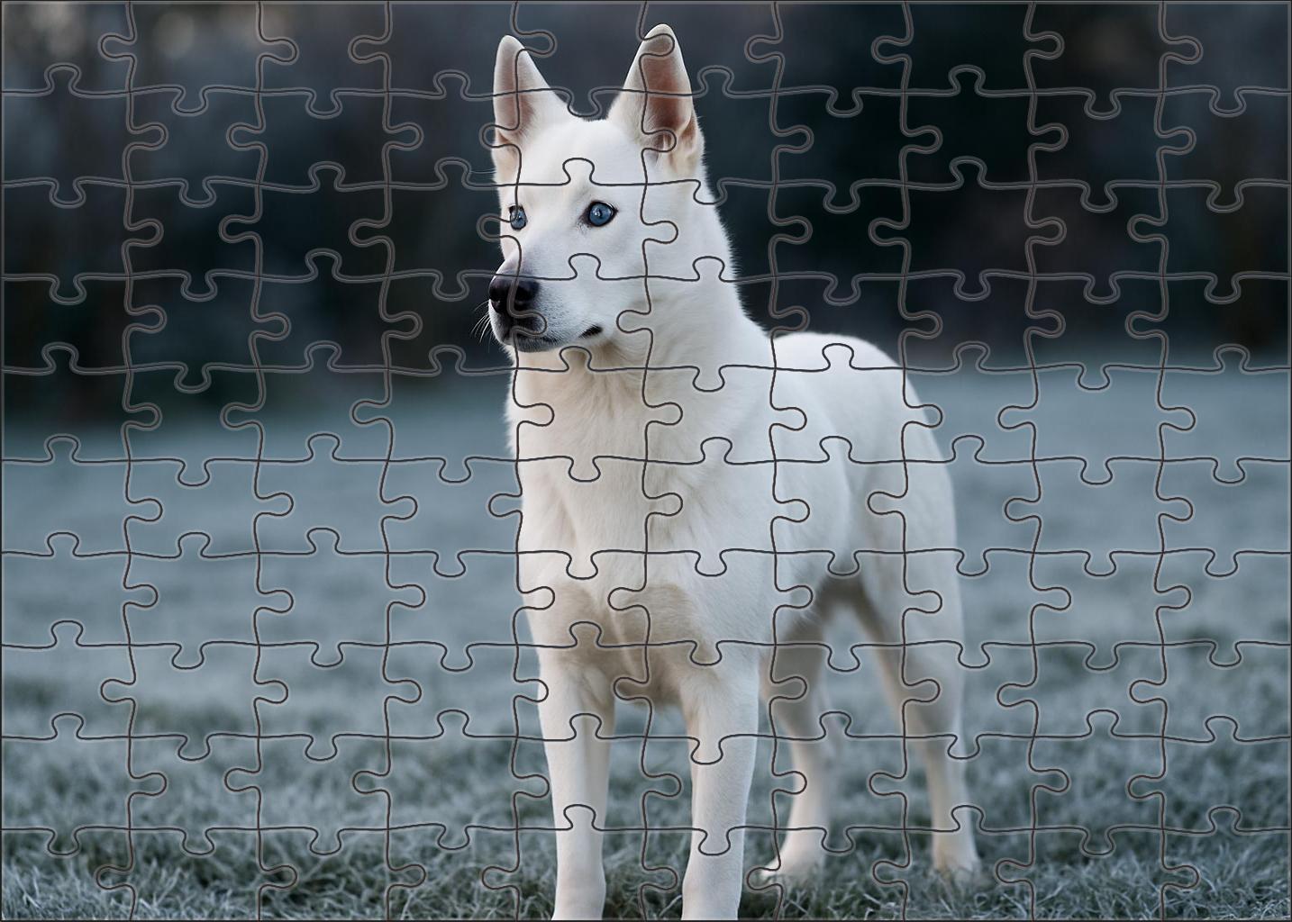Crystal Frost Pure White Agile Guardian With Watchful Nature Puzzle For Kids
