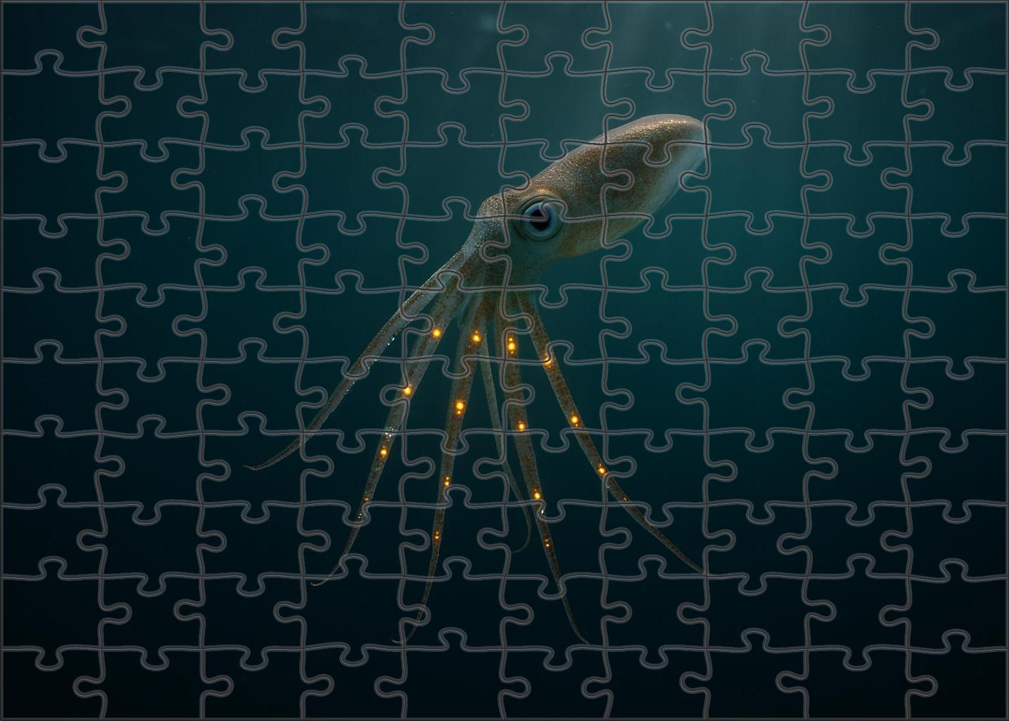 Amberglow Tentacle Squid Luminescent Hunter Of The Twilight Depths 200 Piece Puzzle