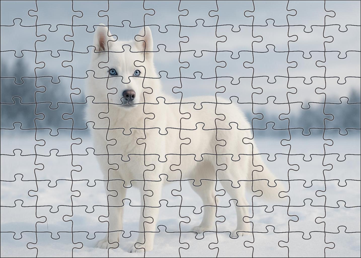 Frosted Pearl 20 Piece Puzzle