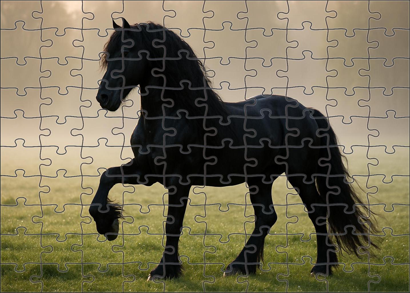 Shadowbrook Nightfall Sleek Black Friesian Stallion With Majestic Presence 200 Piece Puzzle