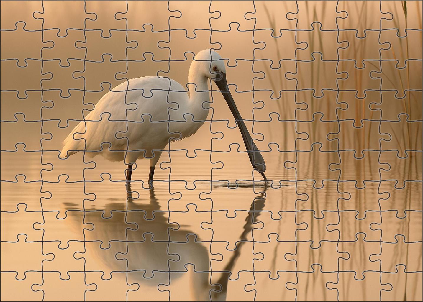 Spoonbill The Elegant Marsh Dancer Large Format Puzzle