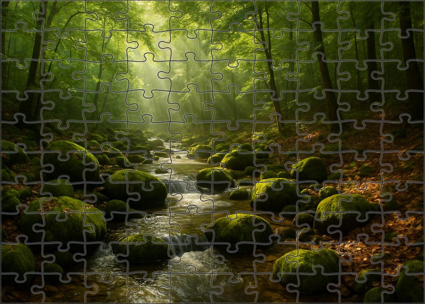 Mossy Forest Stream Puzzle Collection