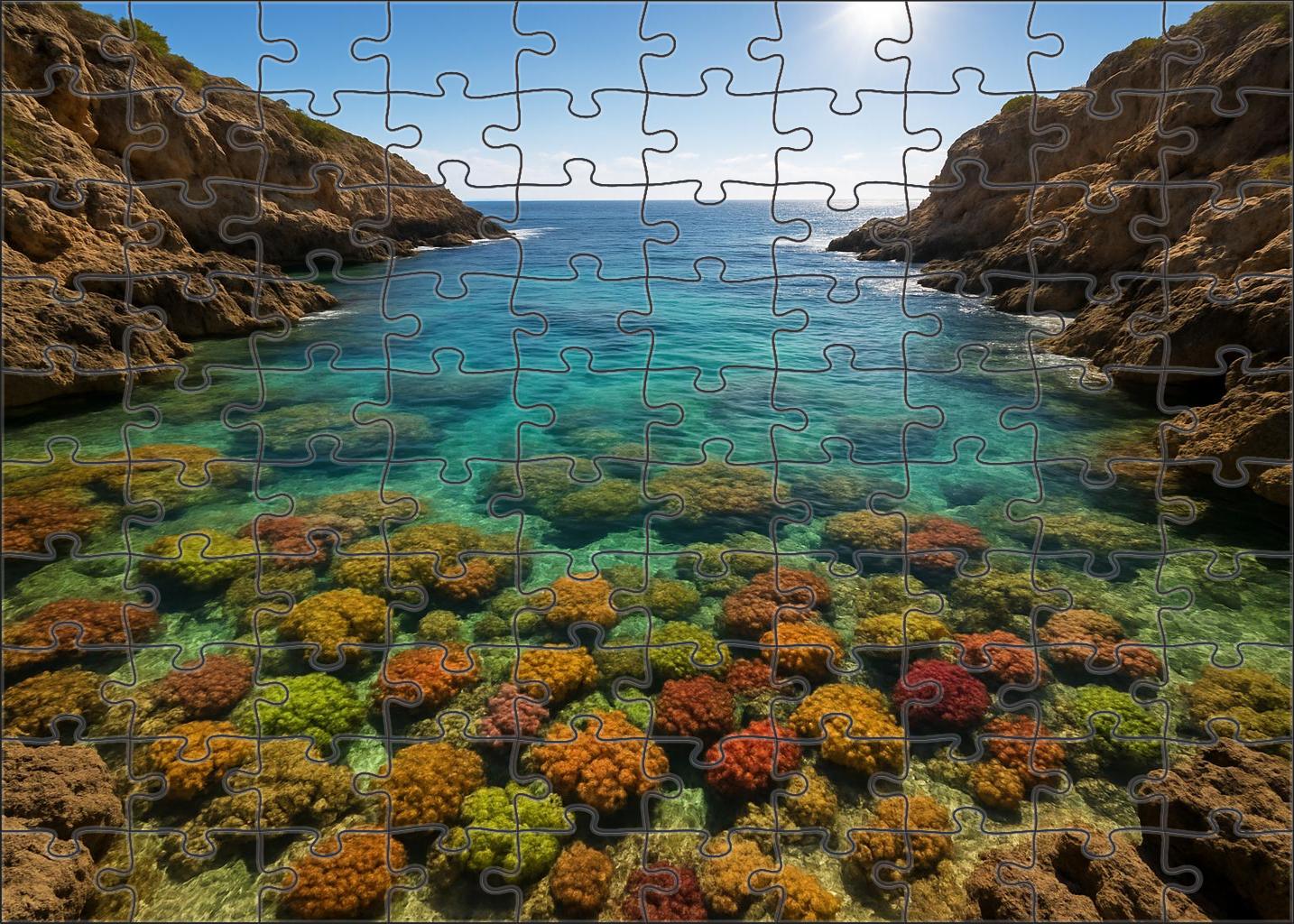 Secluded Coral Bay Unique Puzzle Design