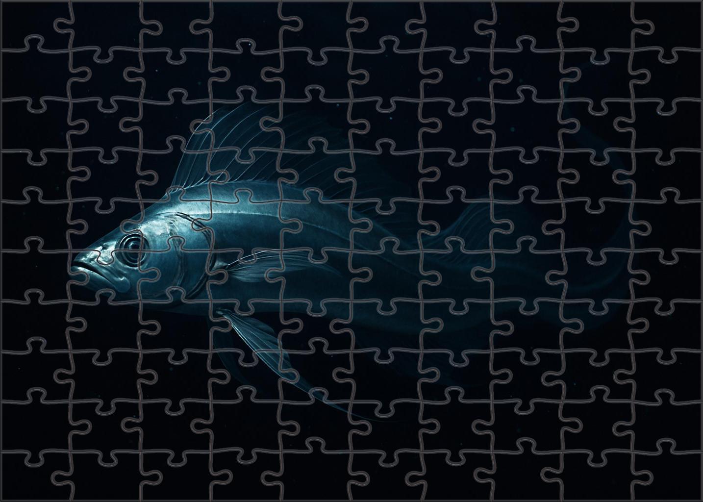 Celestial Ribbonfish Elongated Nocturnal Drift Hunter Puzzle Fun