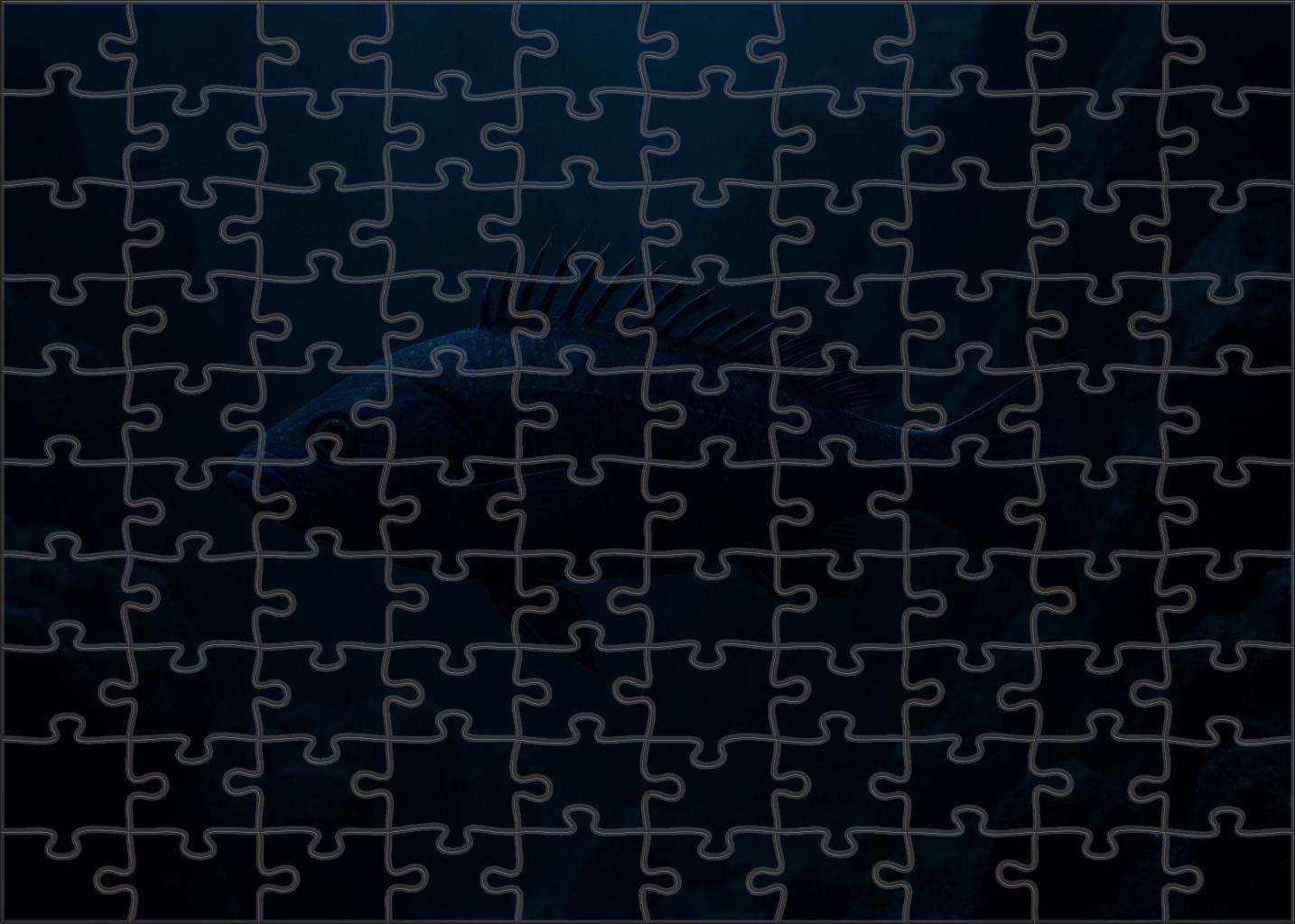 Twilight Spinefish Slender Nocturnal Predator With Barbed Fins 200 Piece Puzzle