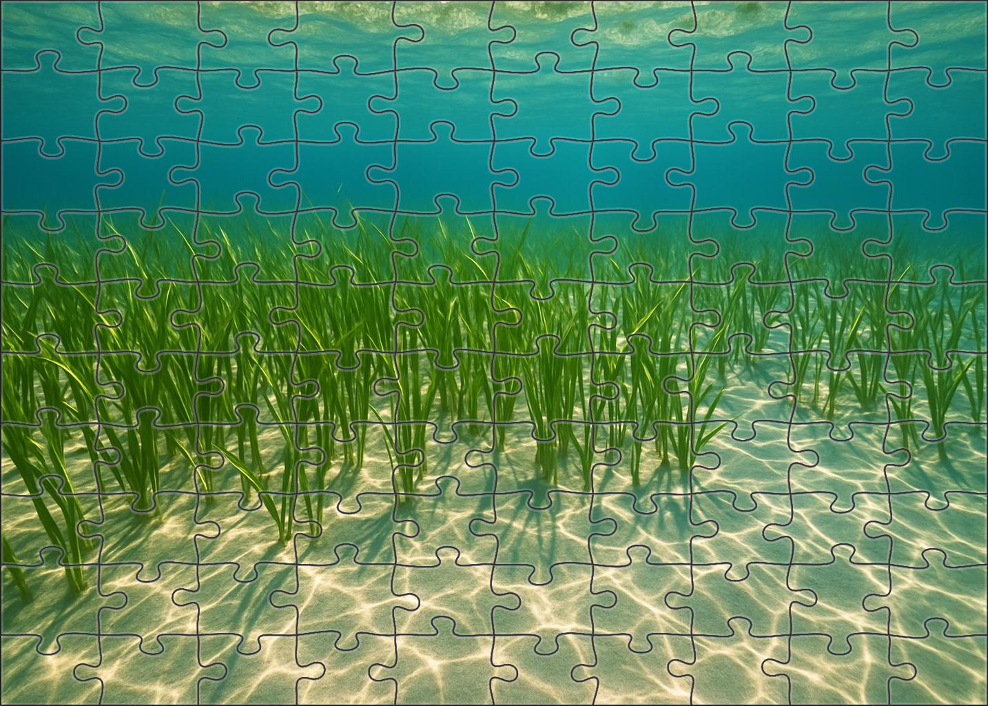 Shimmering Tide Meadow Puzzle For Adults