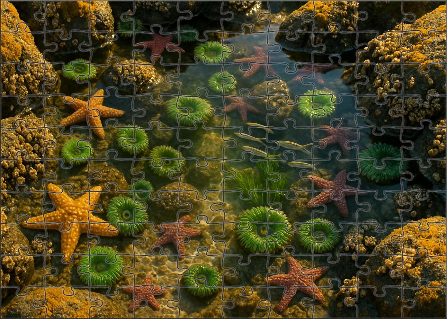 Crystal Tide Pools Vibrant Microhabitats At Rocky Shore Edges 200 Piece Puzzle