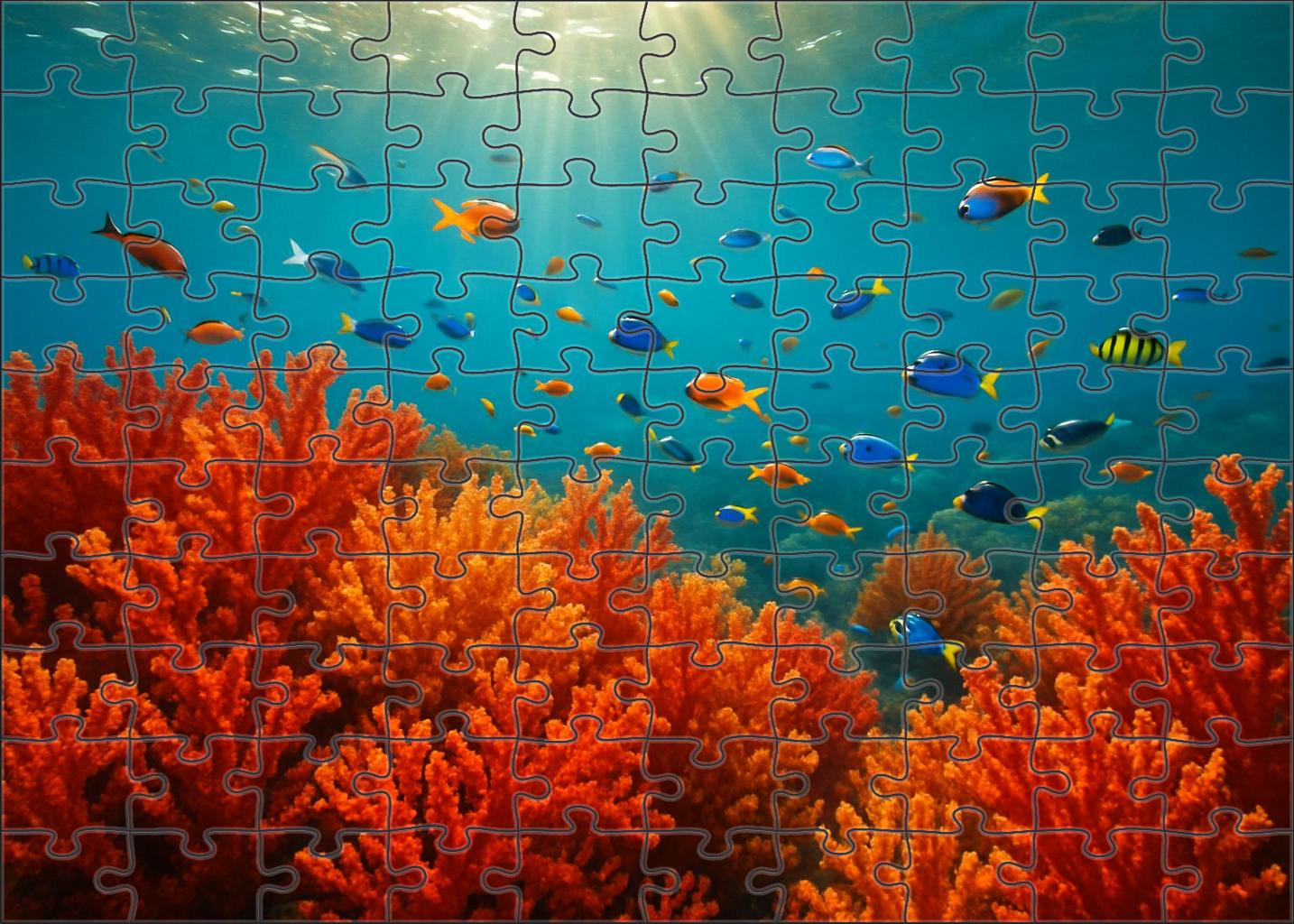 Crimson Coral Maze Vibrant Reef Network Teeming With Tropical Life Challenging Puzzles