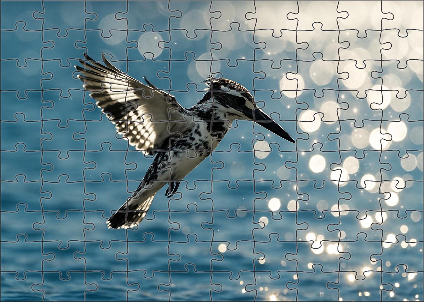Pied Kingfisher Hovering Fisher Puzzle Fun