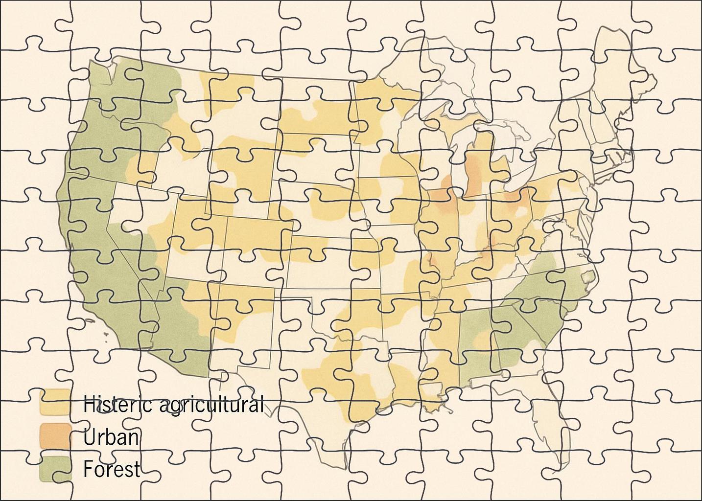 Historical Land Use Overlay Map 500 Piece Puzzle