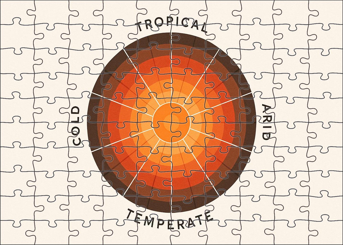 Abstract Climate Zone Radial Chart 50 Piece Puzzle