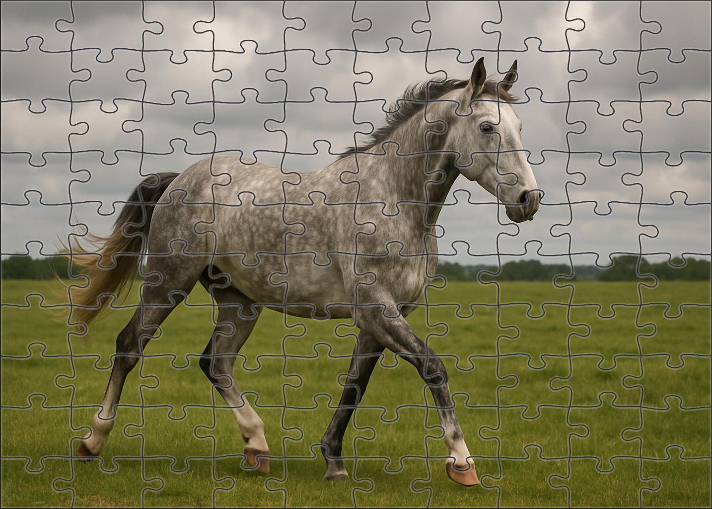 Dapple Mist Soft Gray Gelding With Expressive Movement Puzzle For Adults