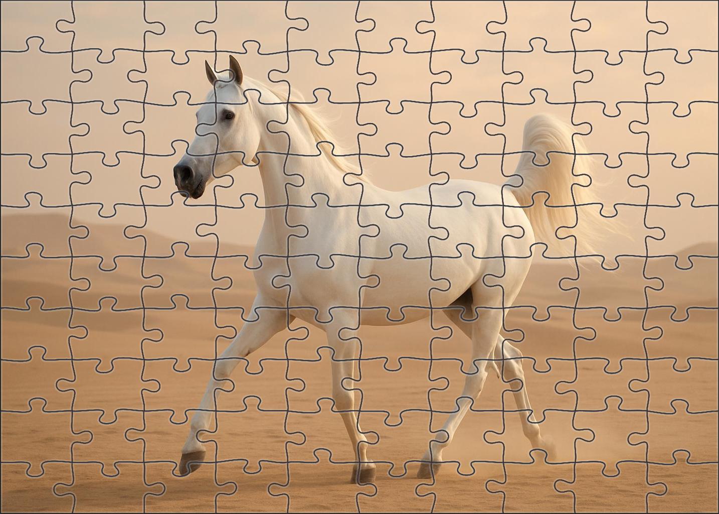 Pearl Star Gazelle Delicate White Arabian Mare Challenging Puzzles