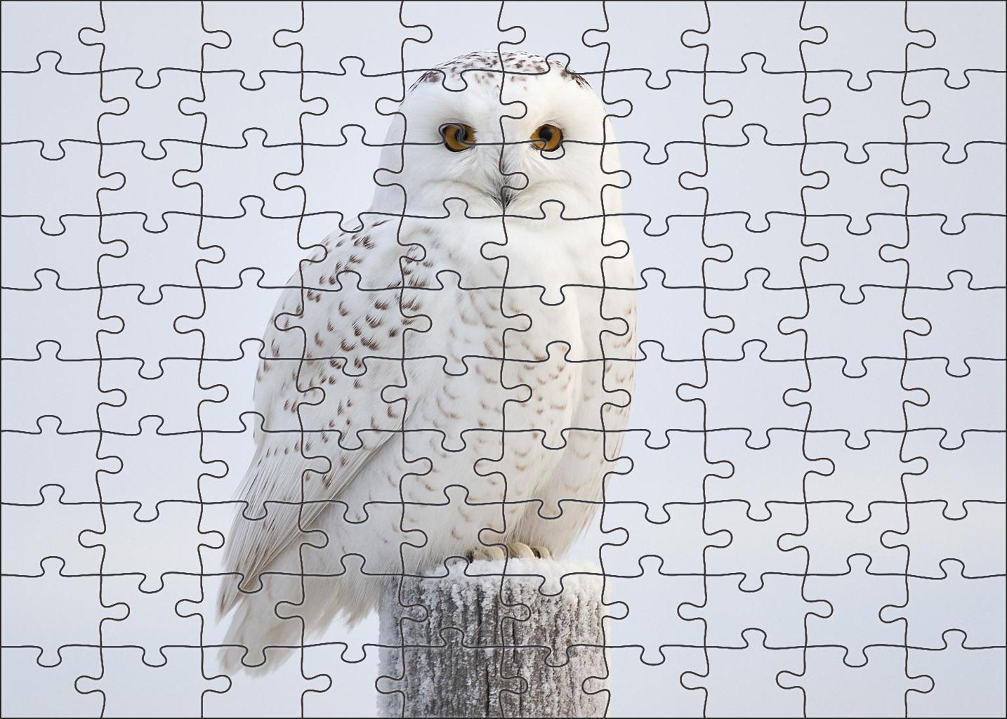 Snowy Owl The Arctic Sentinel Large Format Puzzle