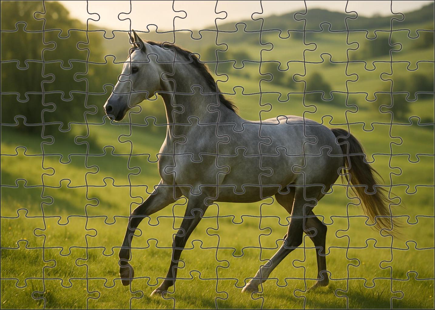 Silver Moon Gazelle Graceful Gray Mare With Effortless Canter Puzzle For Adults