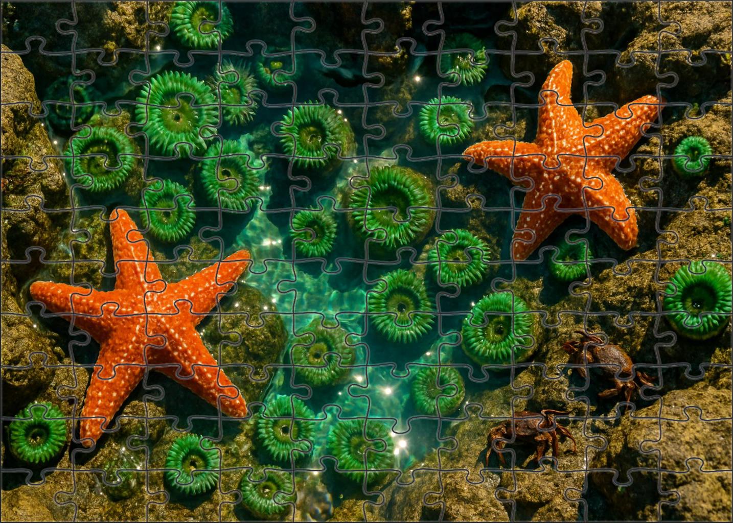 Ivory Tide Pools Custom Jigsaw Puzzle