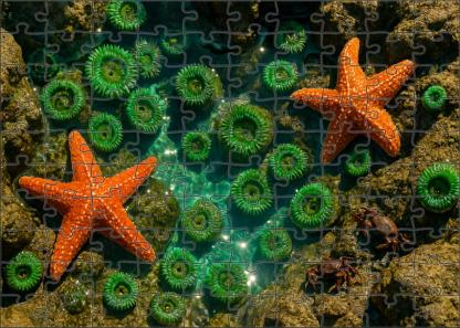 Ivory Tide Pools Custom Jigsaw Puzzle