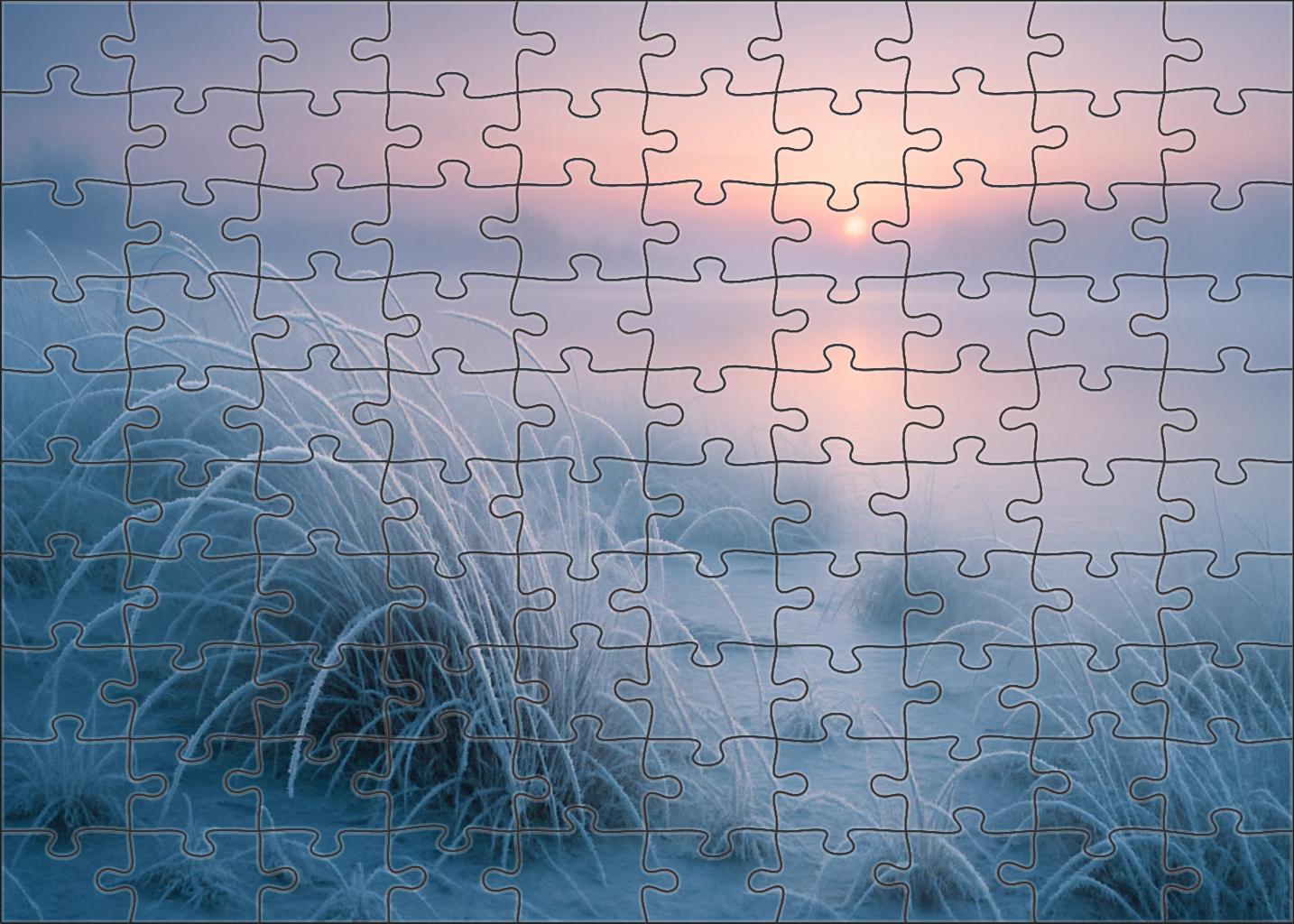 Silent Frosted Marsh Challenging Puzzles