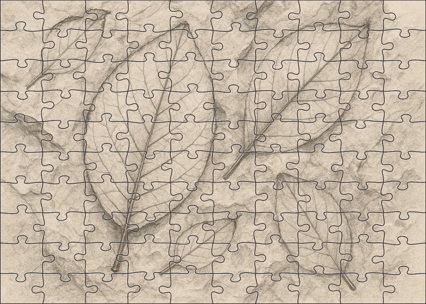 Fossil Imprint Study Graphite And Ink Wash Textural Contrast Puzzle Challenge