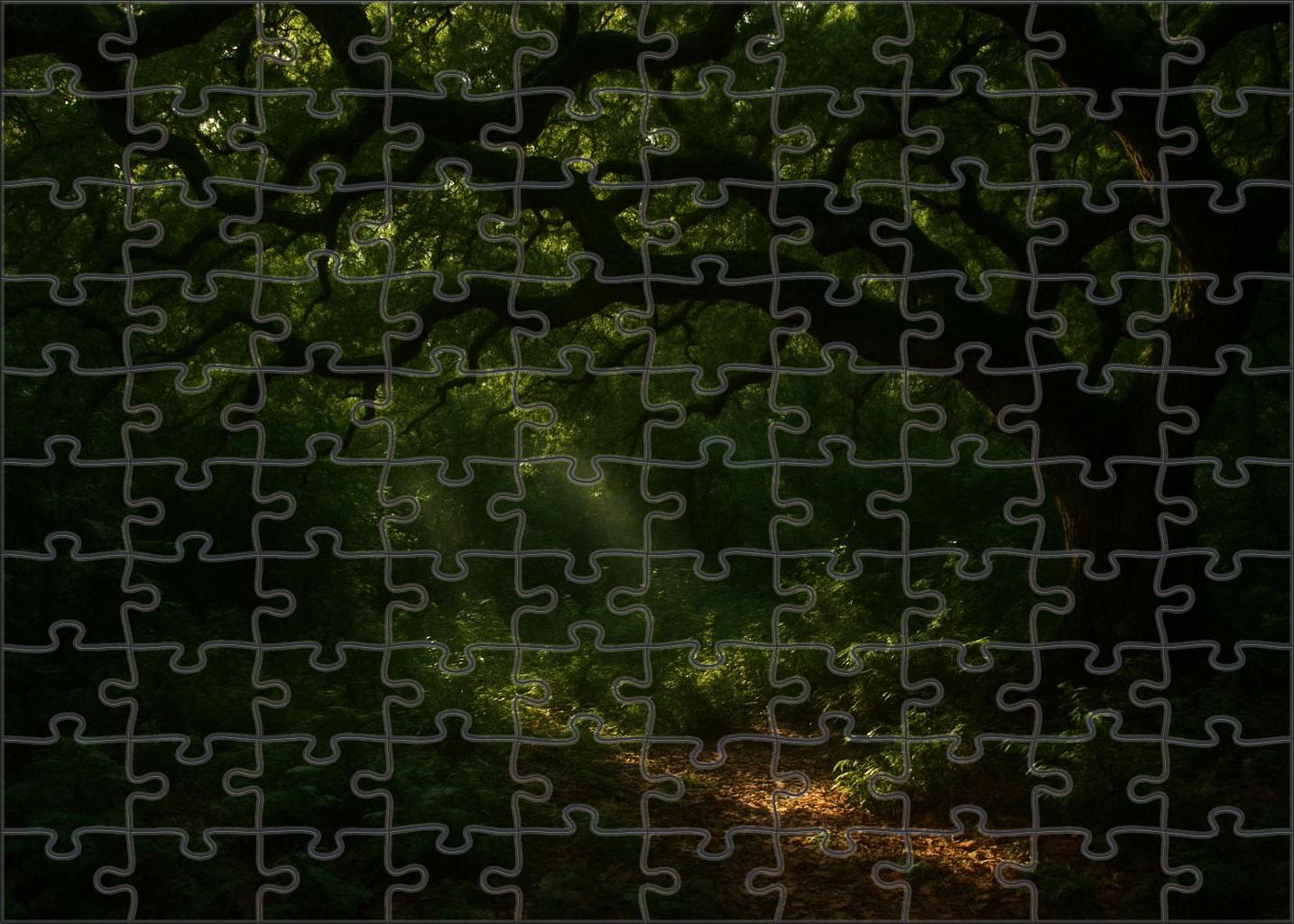 Shadowed Oak Expanse Large Format Puzzle