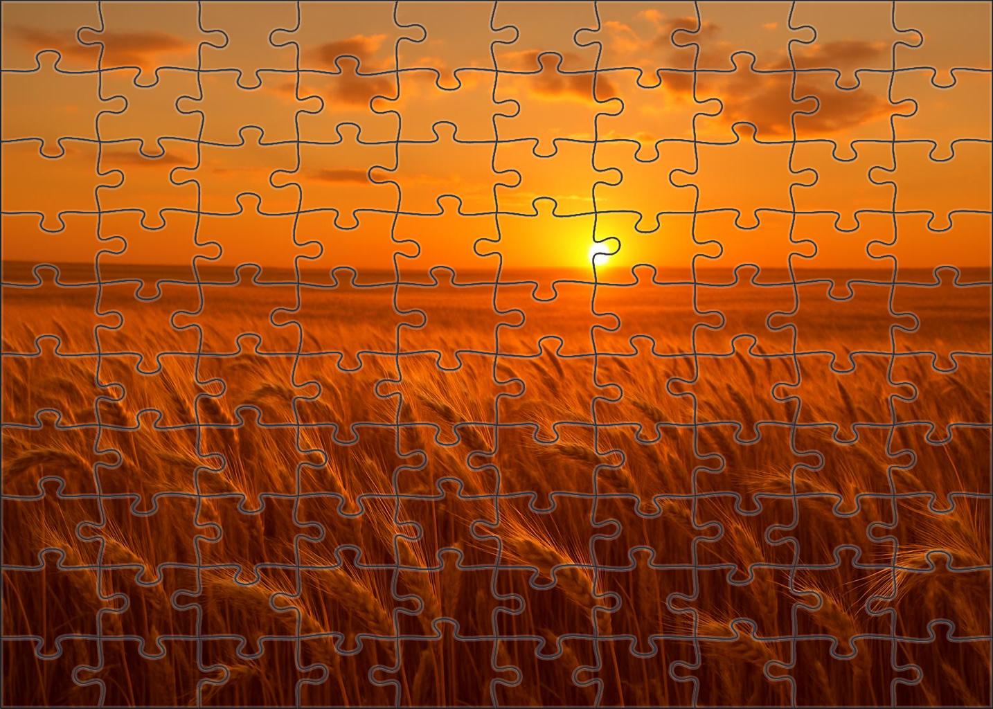 Golden Wheatfield Glow 50 Piece Puzzle