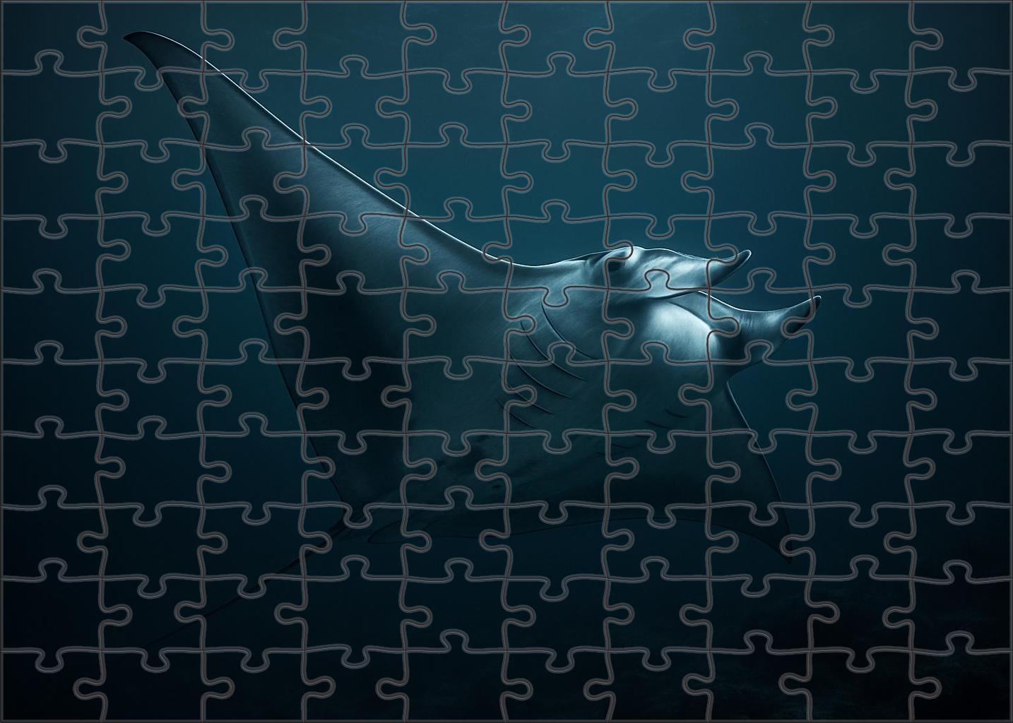 Moonlit Manta 20 Piece Puzzle