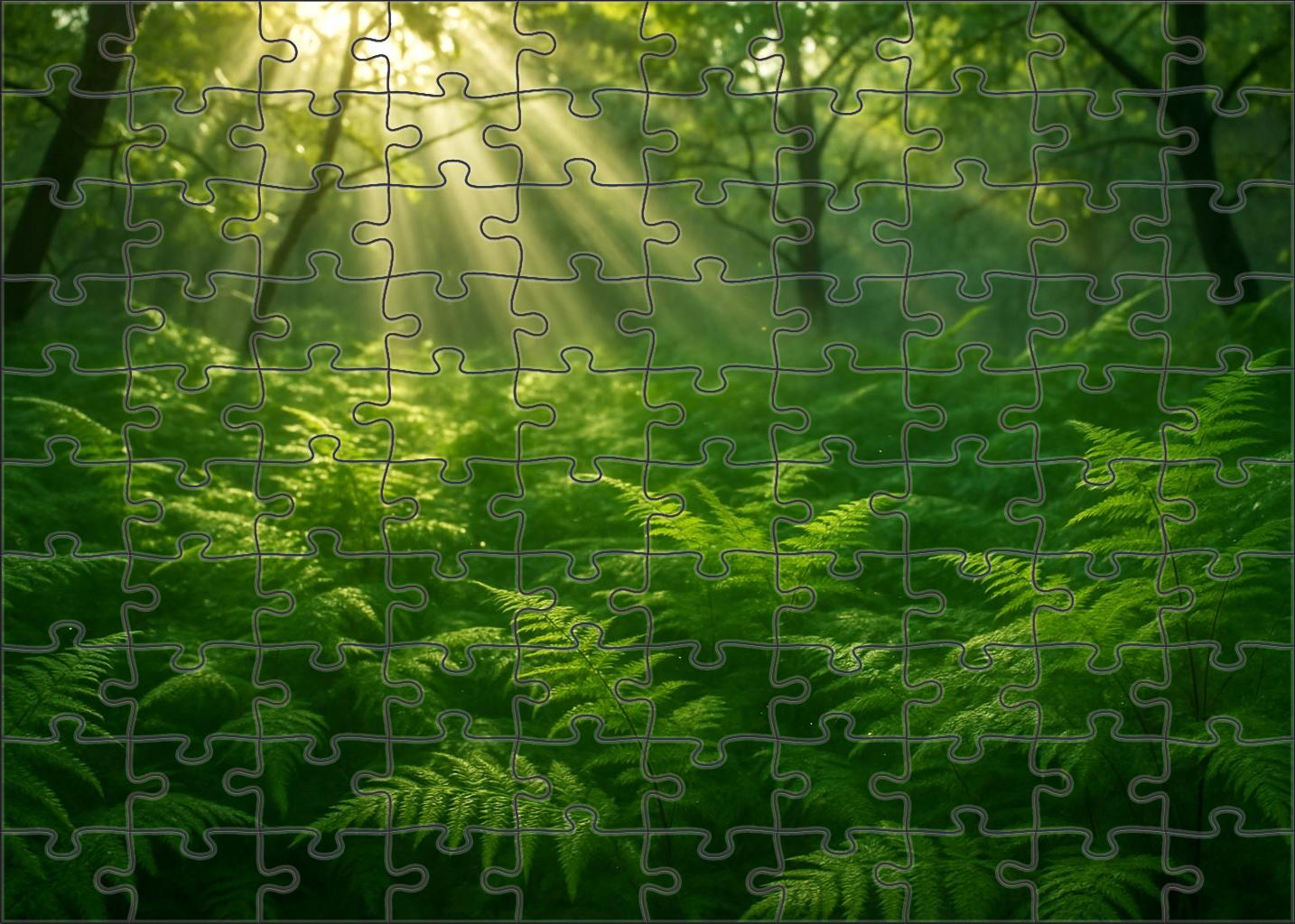 Sunrise Fern Glade Puzzle For Kids