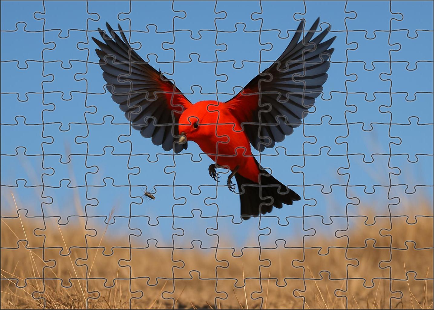Vermilion Flycatcher Scarlet Flash Of Open Plains Family Puzzles
