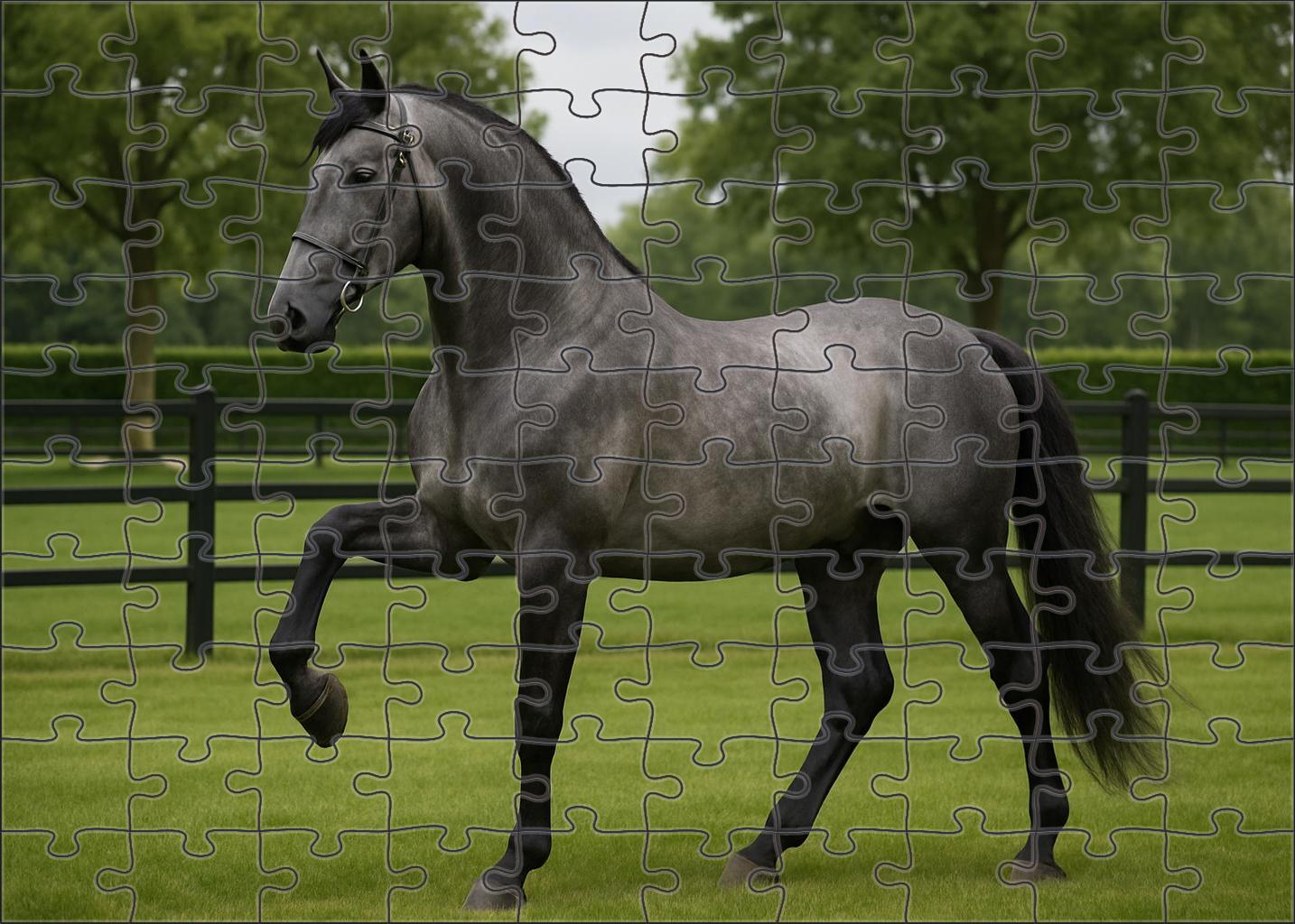 Silver Crest Noble Steel Gray Warmblood With Poised Strength Puzzle For Kids