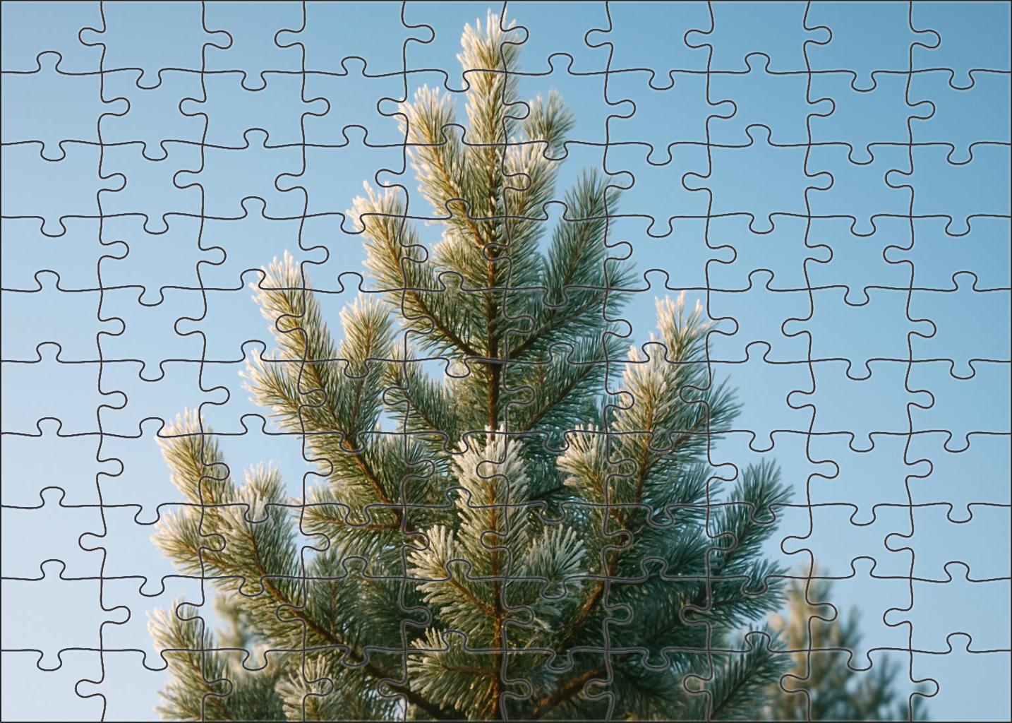 Frosted Pine Summit Puzzle For Kids