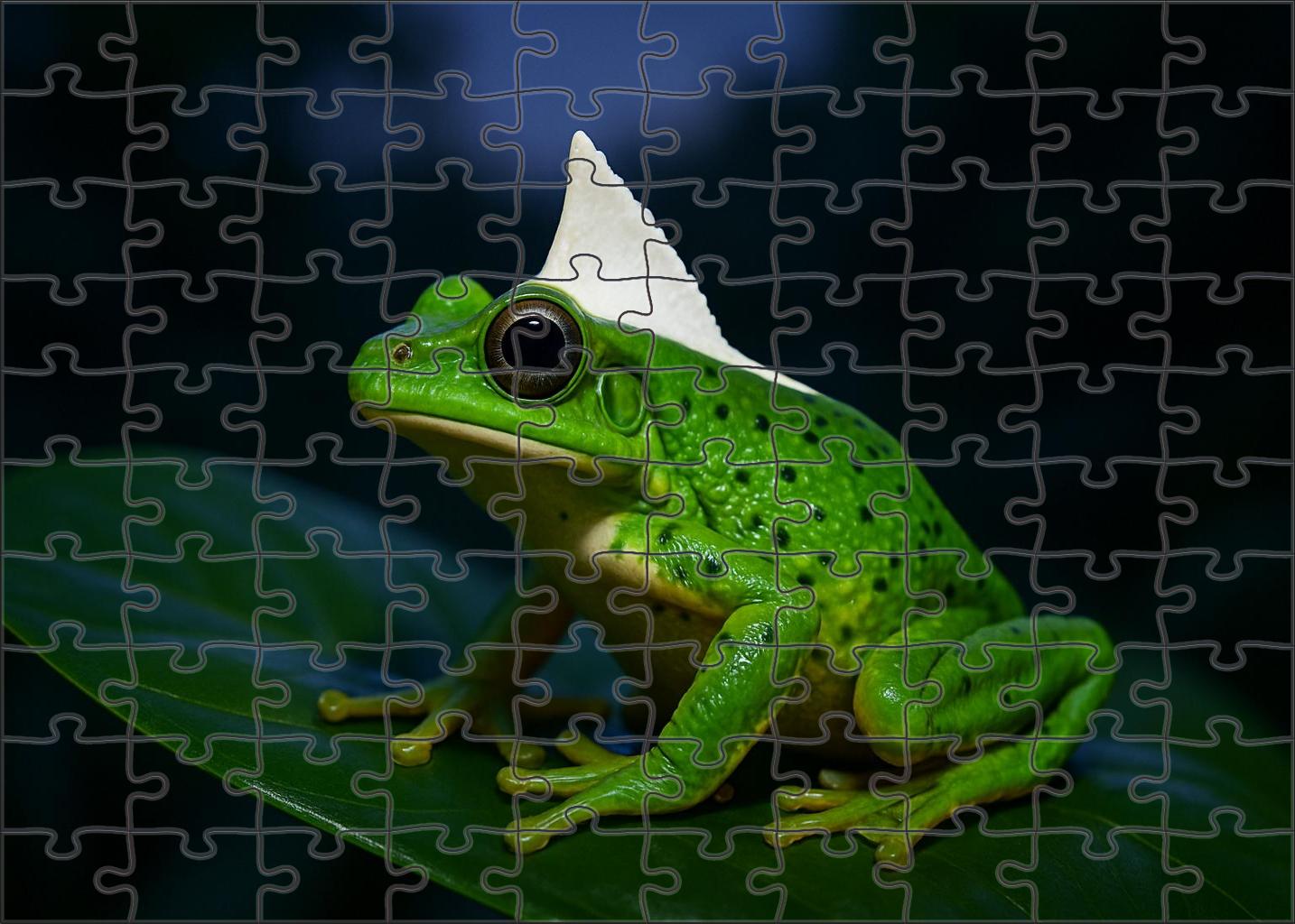 Ivory-crested Tree Frog 300 Piece Puzzle
