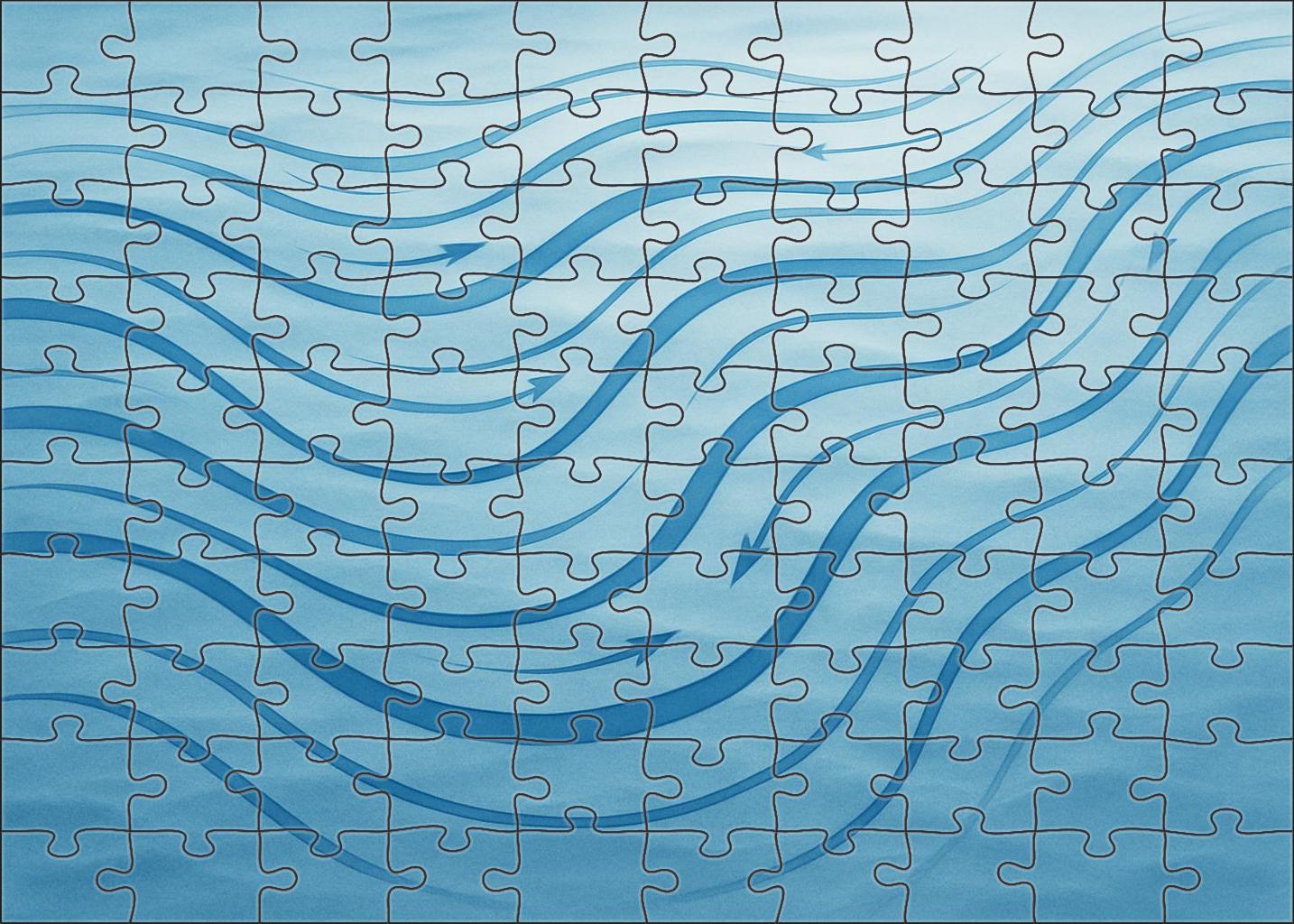 Ocean Current Streamline Visualization 300 Piece Puzzle
