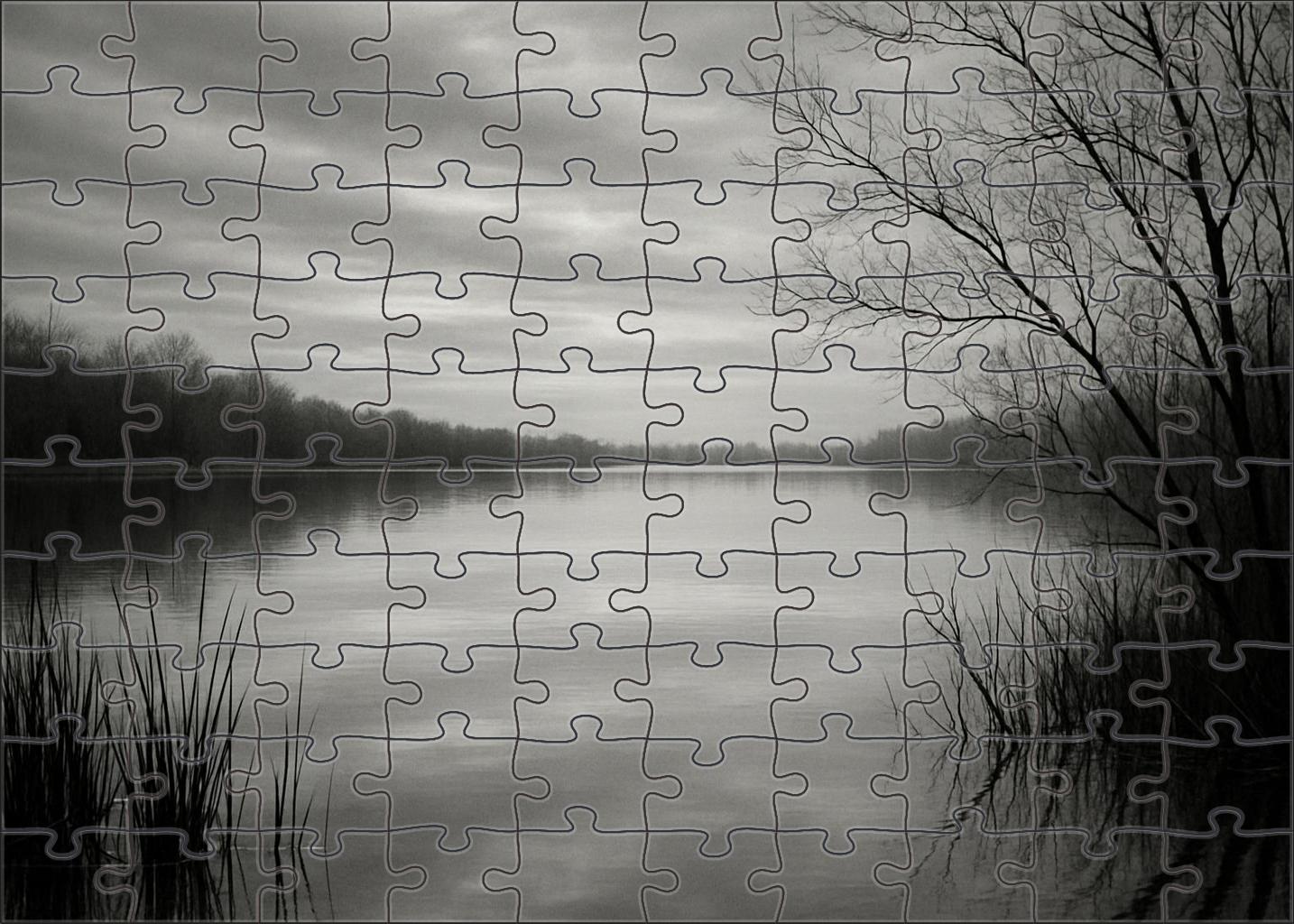 Silver Lake Reflection Premium Puzzle Pieces
