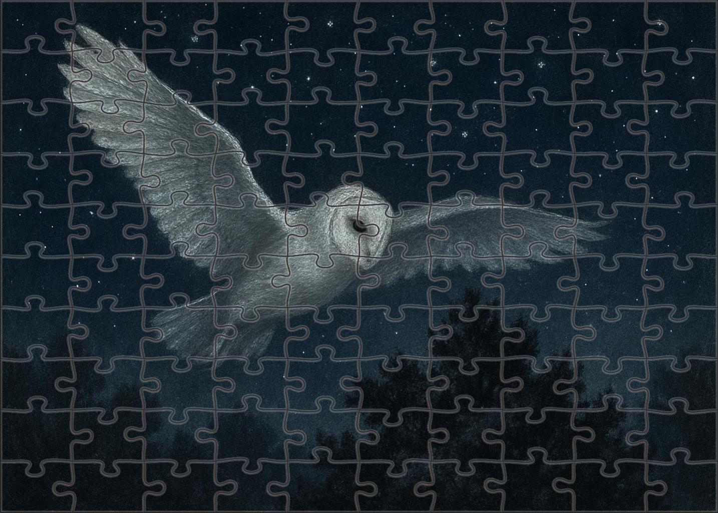 Moonlit Veil Ghostly Nocturnal Flyer With Whisper-quiet Wings 200 Piece Puzzle
