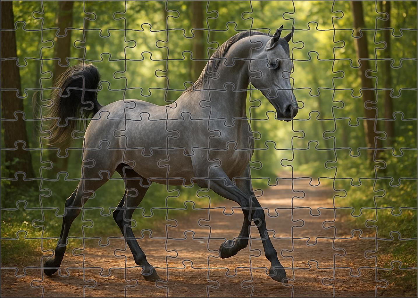 Whispering Willow Graceful Gray Arabian Mare With Floating Canter Puzzle For Kids