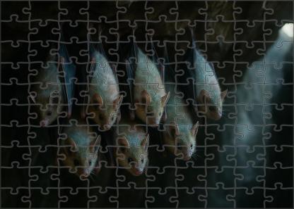 Pearlwing Bat Small Flying Mammal With Iridescent Fur And Echo-communication Custom Jigsaw Puzzle