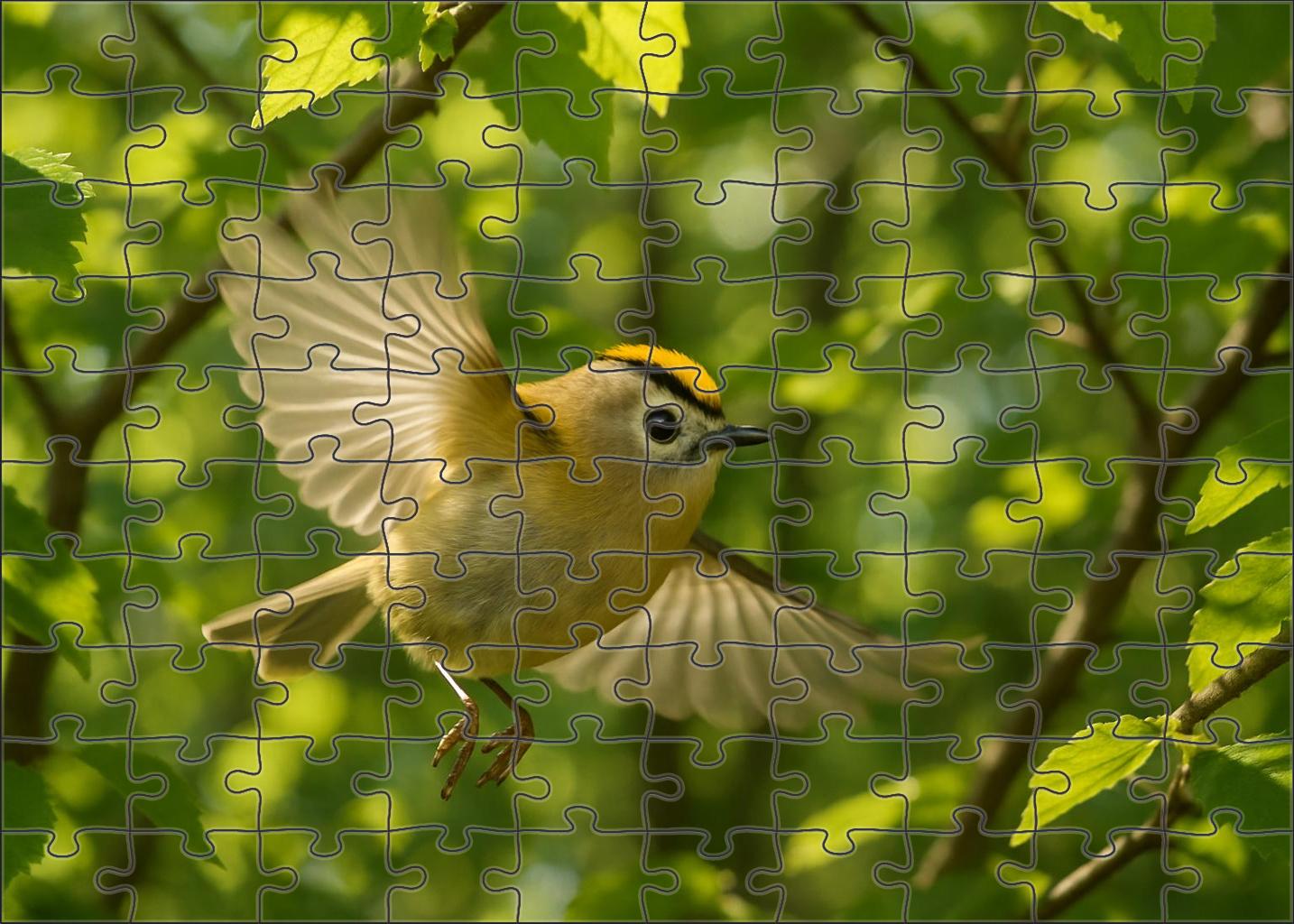Golden-crested Warbler The Canopy Spark Easy Puzzles