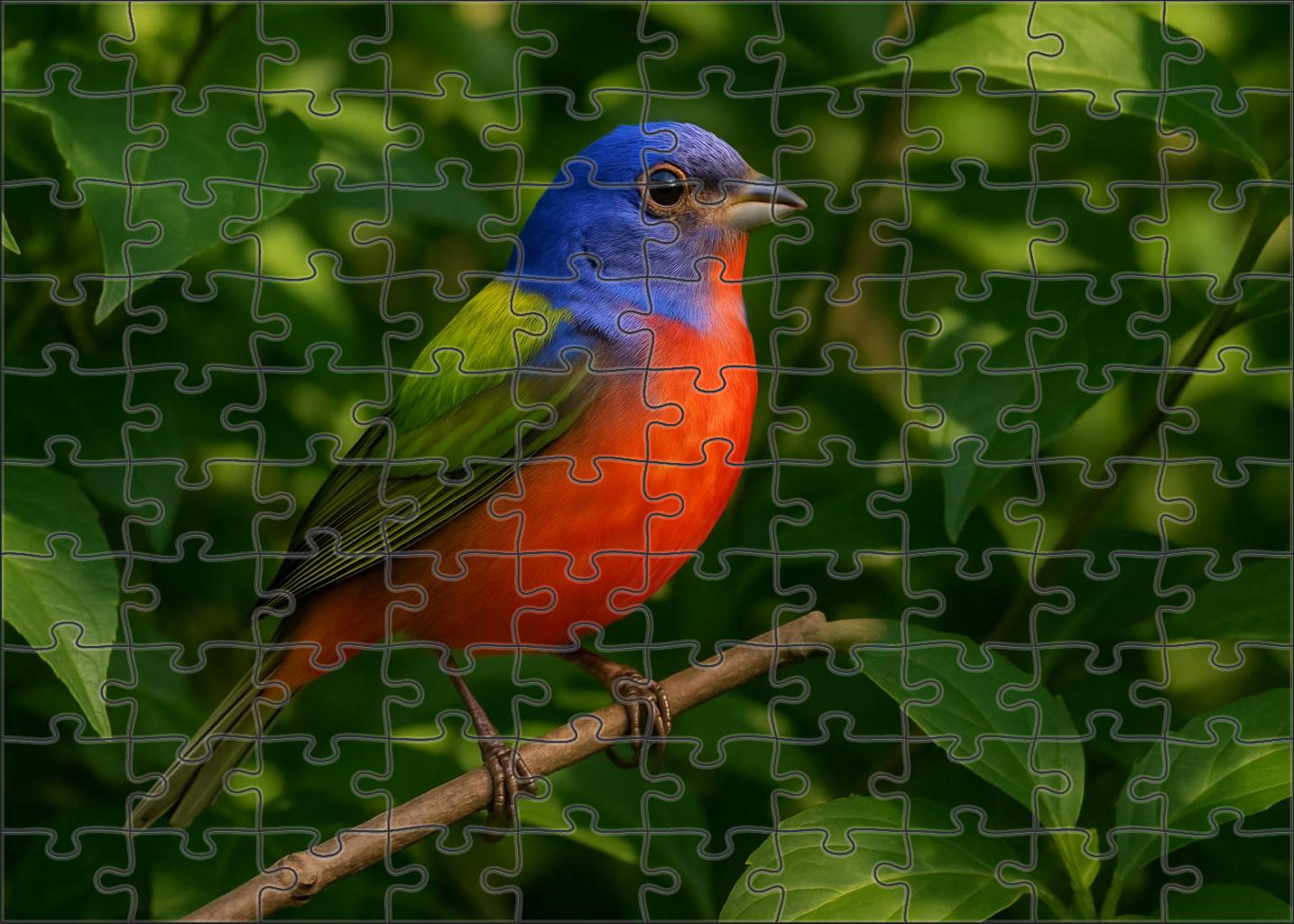 Painted Bunting Living Rainbow Custom Jigsaw Puzzle