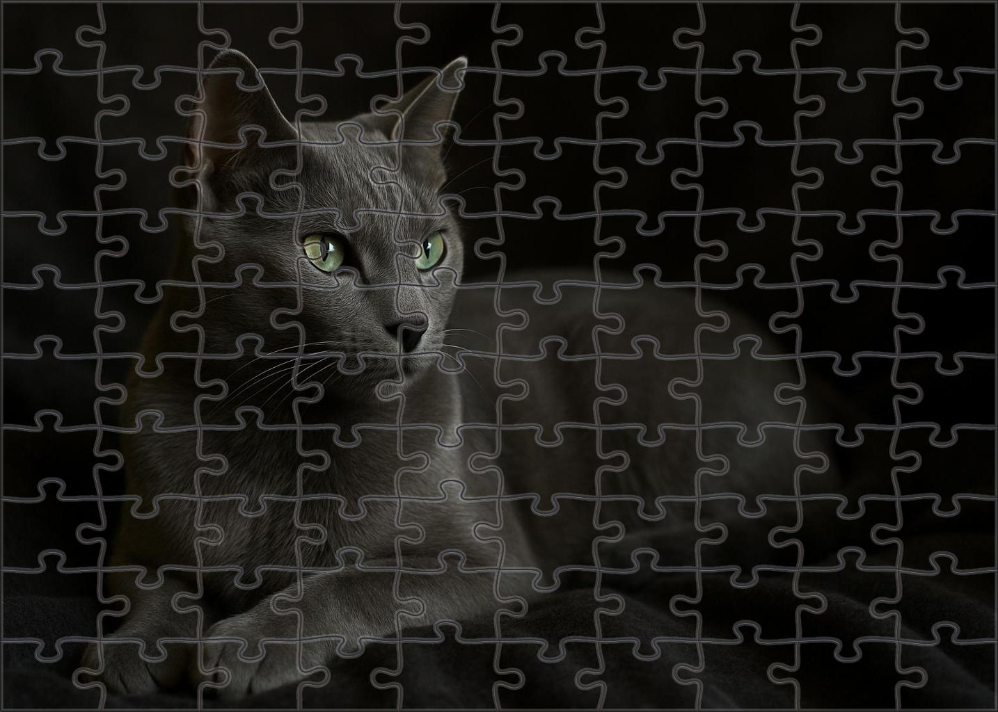 Dusk Shadow Sleek Gray Shorthair With A Mysterious Aura 50 Piece Puzzle