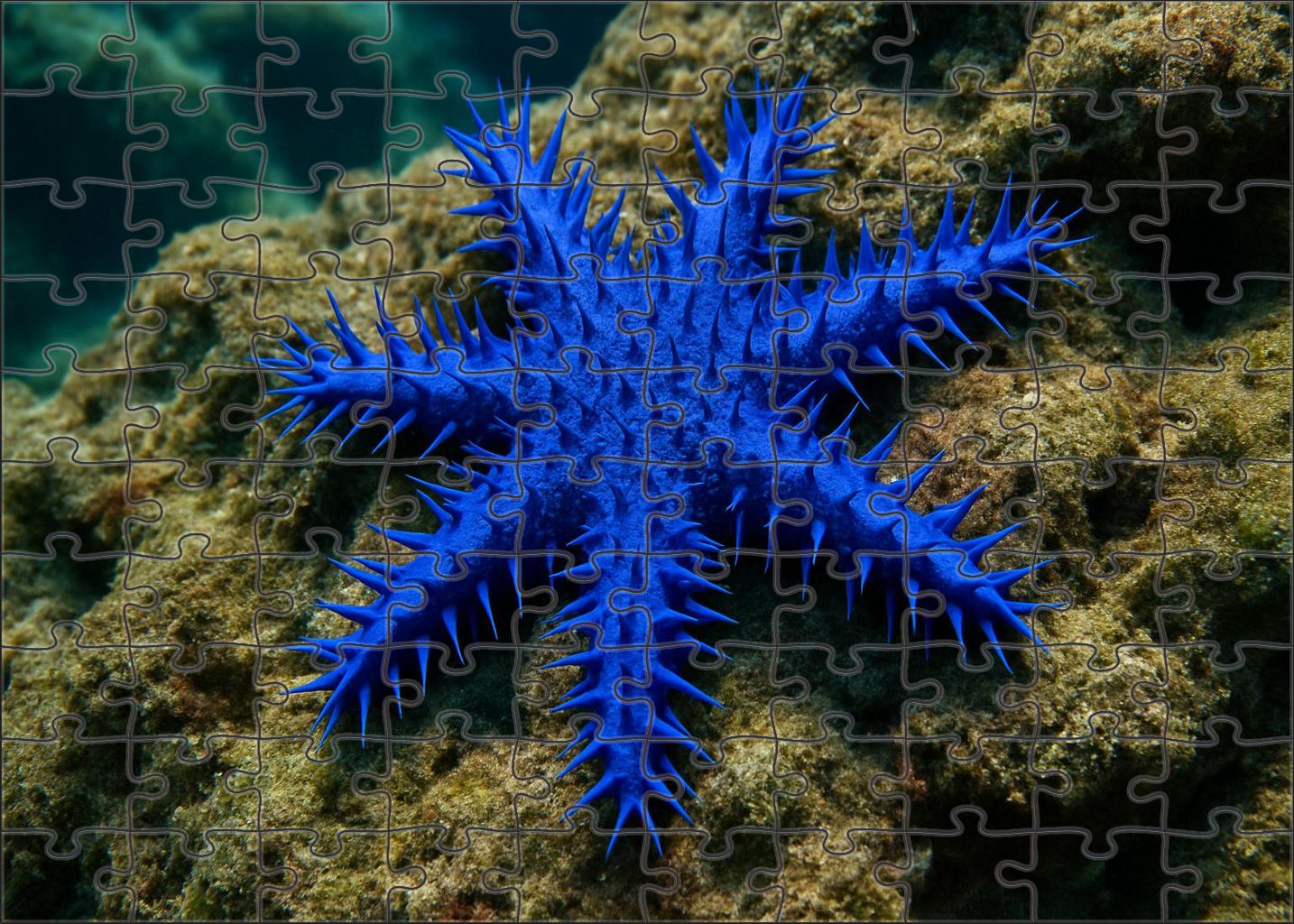 Sapphire Thorn Star Radiant Echinoderm With Vibrant Spiked Rays Mini Puzzle