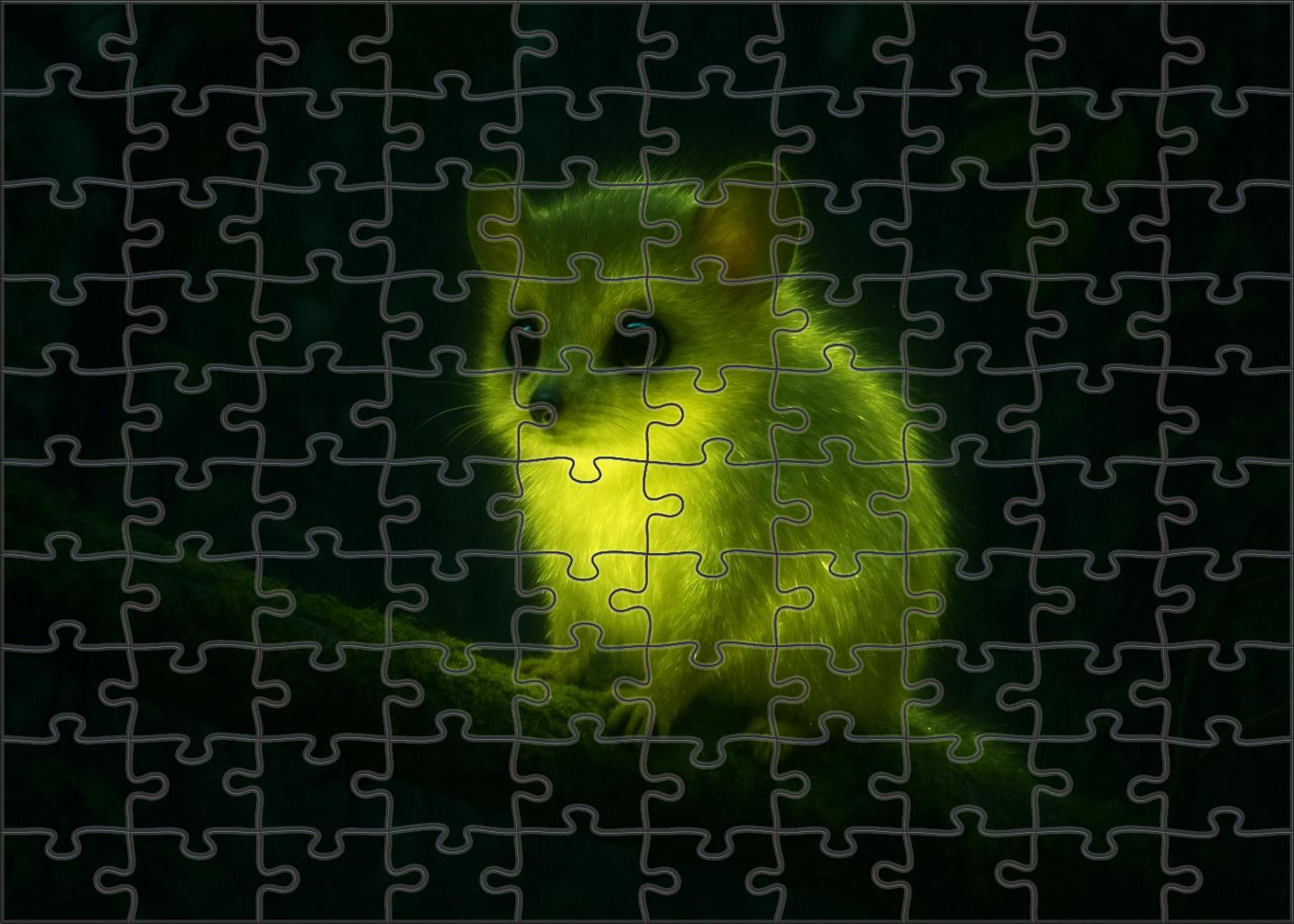 Luminous Velvetback Nocturnal Mammal With Glow-in-the-dark Fur Puzzle Fun